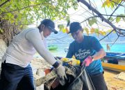 DLH Morowali Utara Gelar Aksi Pungut Sampah di Teluk Tomori