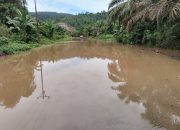 Jalan Penghubung Mohoni-Bimor Jaya Terendam Banjir